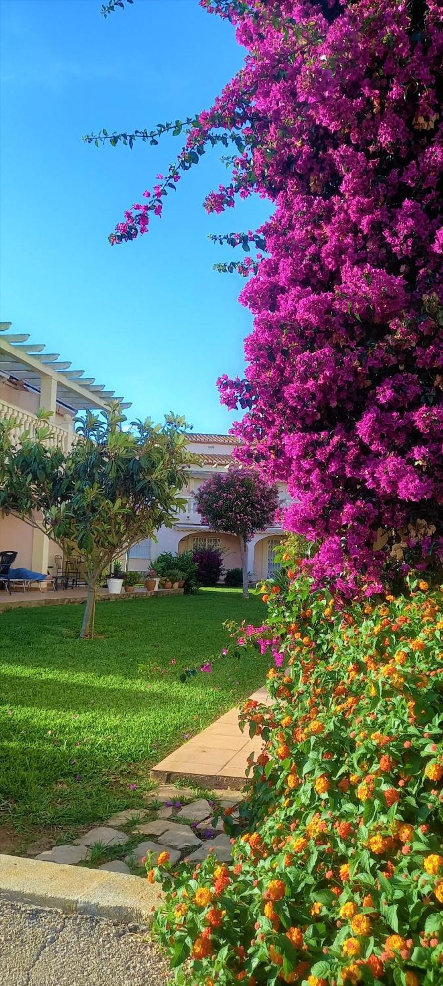 La Giralda 2 Denia Les Marinesアパートメント エクステリア 写真